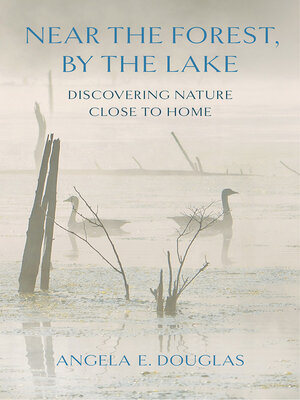 cover image of Near the Forest, by the Lake